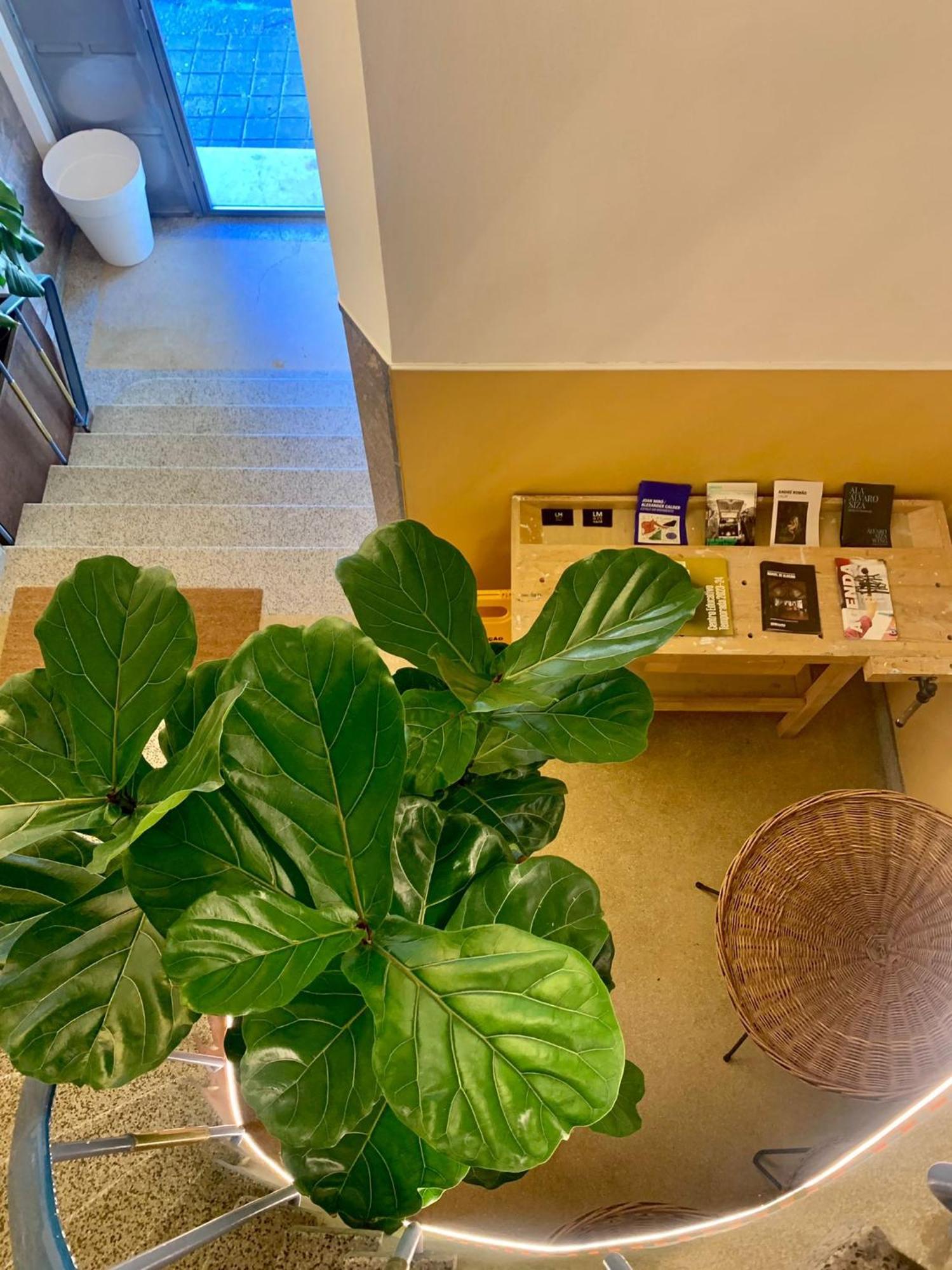 Lm Art Apartments 波尔图 外观 照片